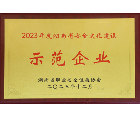 湖南省安全文化建設示范企業(yè)